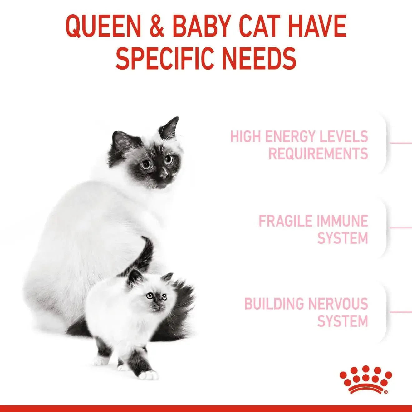 Royal Canin Feline Health Nutrition Mother and Babycat