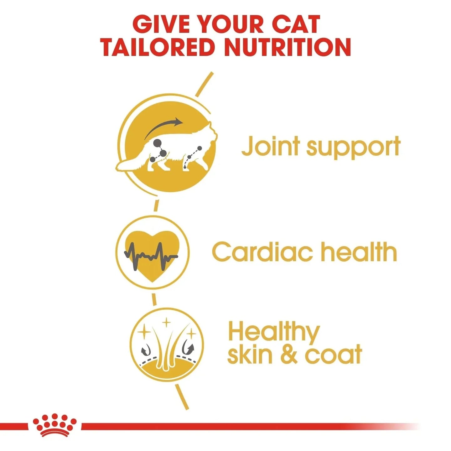Royal Canin Feline Breed Nutrition Maine Coon Adult