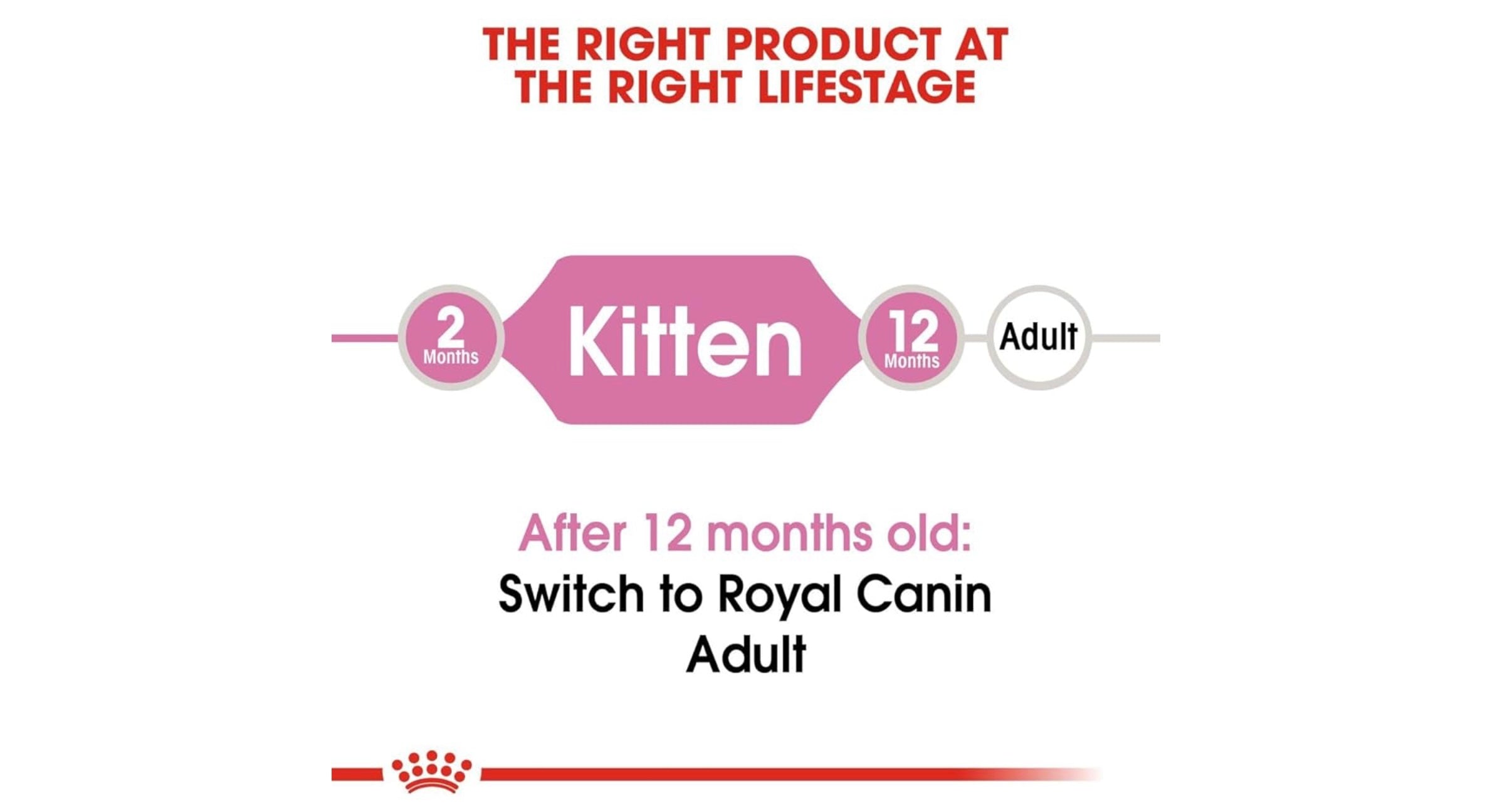 Royal Canin Feline Health Nutrition Kitten