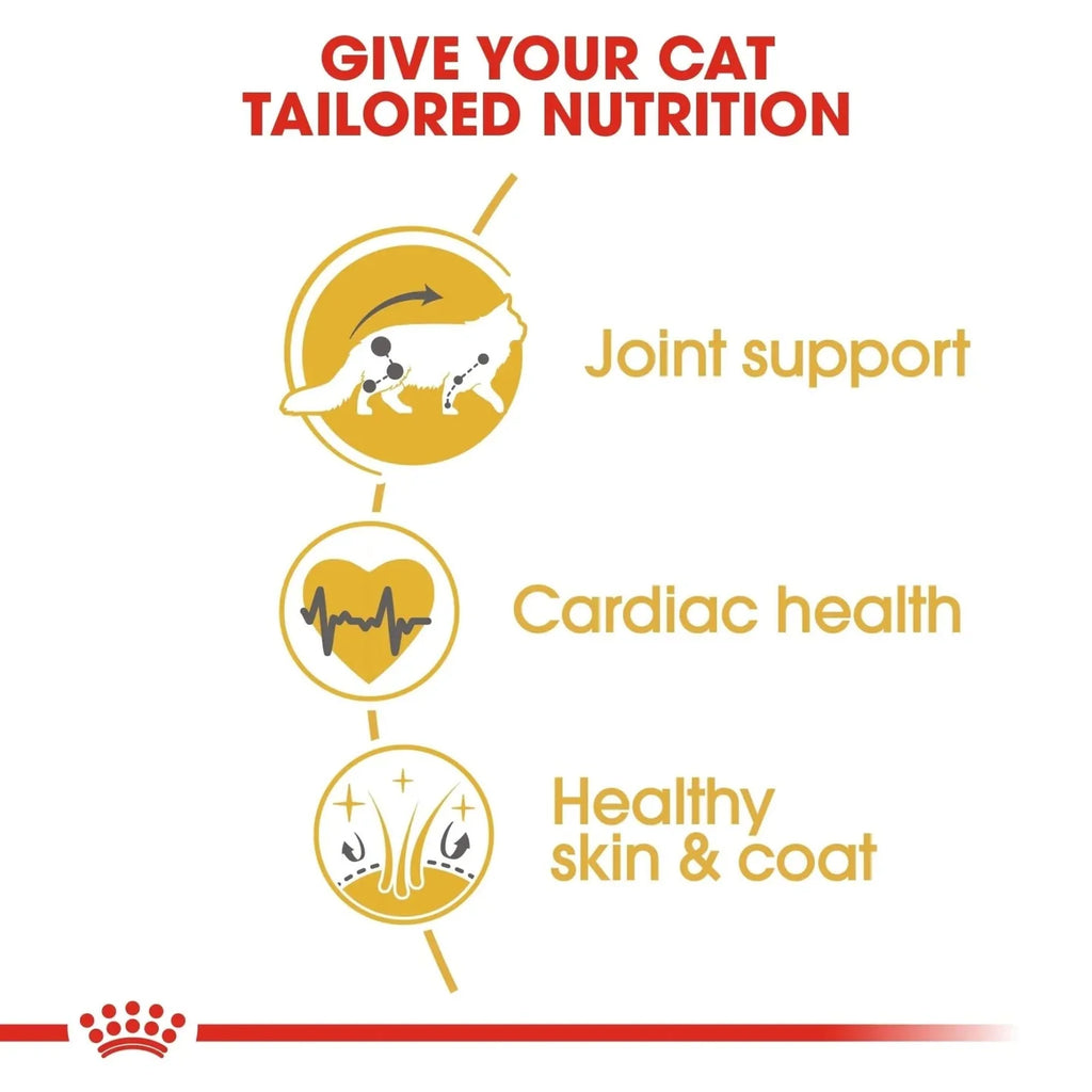 Royal Canin Feline Breed Nutrition Maine Coon Adult